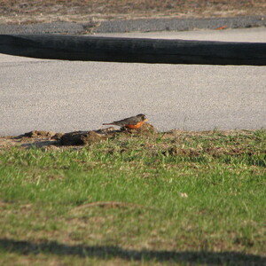 IMG_0472.JPG