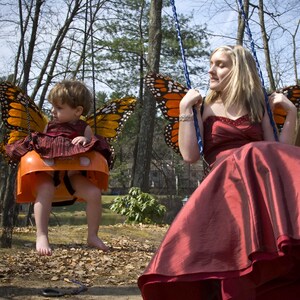 Butterflies.jpg