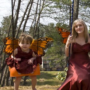 Butterflies_1.jpg