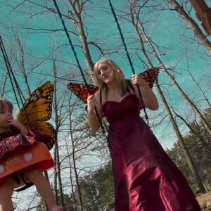 Butterflies_10.jpg
