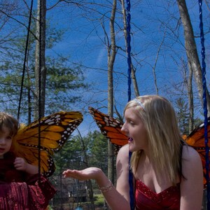 Butterflies_17.jpg