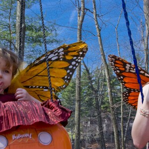 Butterflies_18.jpg