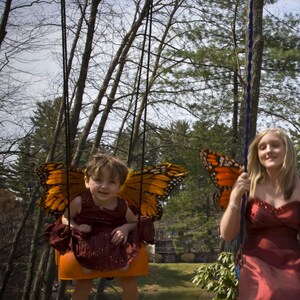 Butterflies_2.jpg