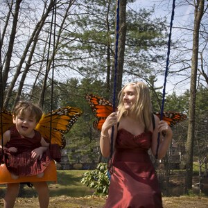 Butterflies_3.jpg