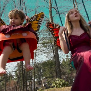 Butterflies_5.jpg