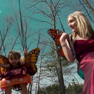 Butterflies_6.jpg
