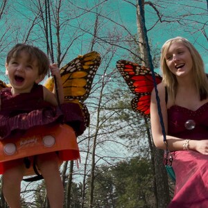 Butterflies_8.jpg