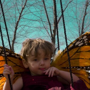 Butterflies_9.jpg