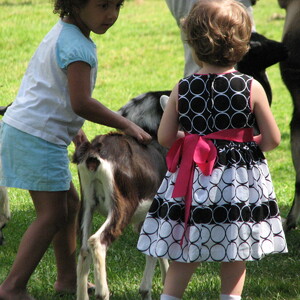 IMG_0027.JPG