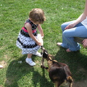 2008_Friendly-Farm