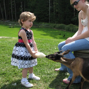 IMG_0038.JPG