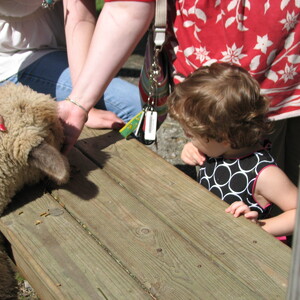 2008_Friendly-Farm