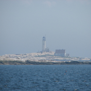 IMG_0568.JPG