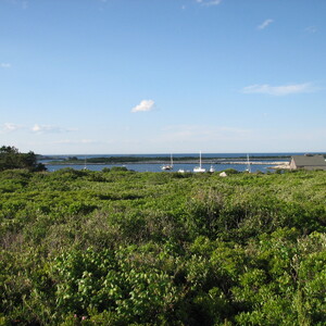 IMG_0608.JPG
