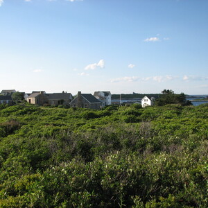 IMG_0609.JPG