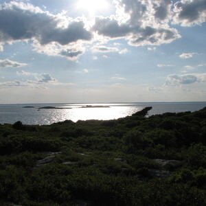 IMG_0611.JPG