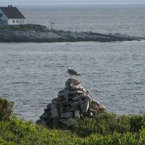 IMG_0616.JPG