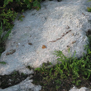 IMG_0624.JPG