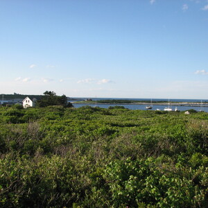 IMG_0632.JPG