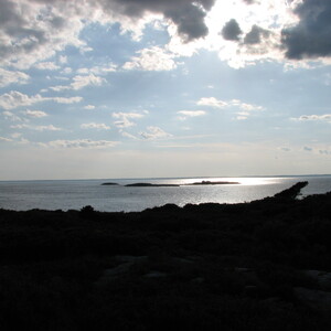 IMG_0636.JPG