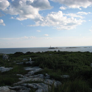 IMG_0638.JPG