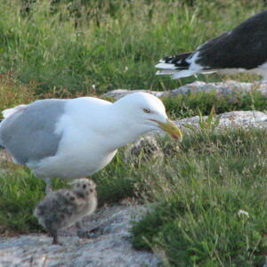 IMG_0645.JPG