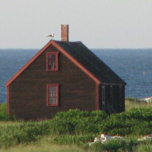 IMG_0648.JPG