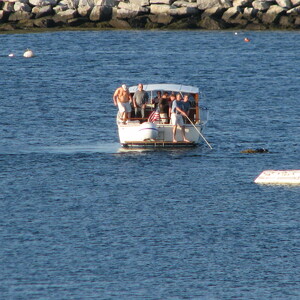 IMG_0650.JPG