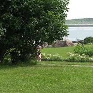 MVI_0671.h264.mp4