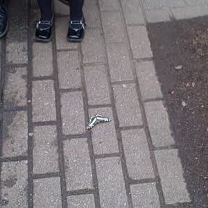 VID00006.mp4