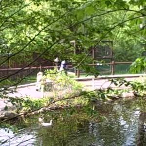 VID00020.mp4