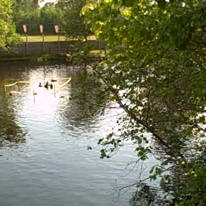 VID00024.mp4