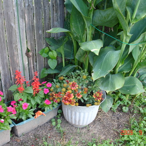 DSC05579.jpg