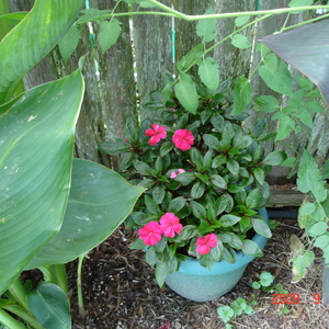 DSC05581.jpg