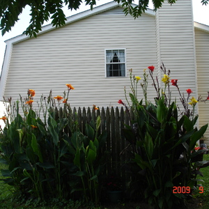 DSC05582.jpg