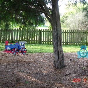 DSC05584.jpg