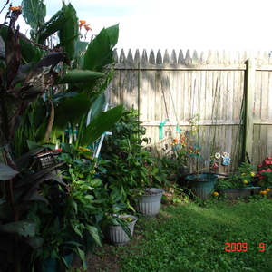 DSC05585.jpg