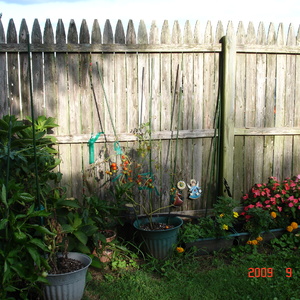 DSC05586.jpg
