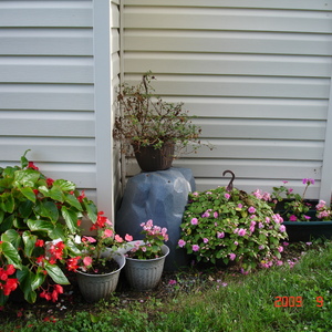 DSC05590.jpg