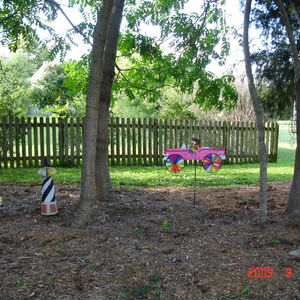 DSC05592.jpg