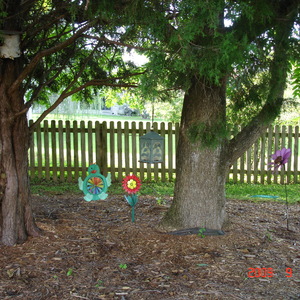DSC05593.jpg