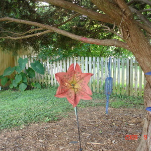 DSC05596.jpg