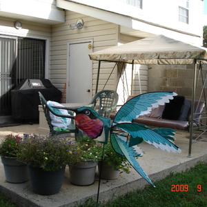 DSC05599.jpg