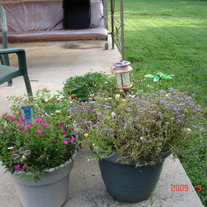 DSC05600.jpg