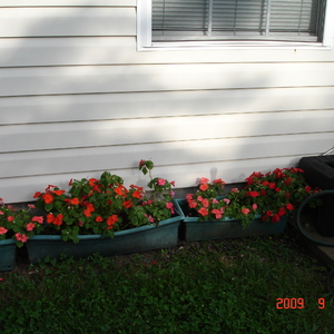 DSC05602.jpg