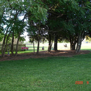 DSC05606.jpg