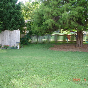 DSC05607.jpg