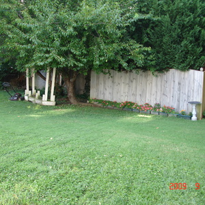 DSC05608.jpg