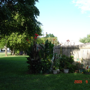 DSC05609.jpg