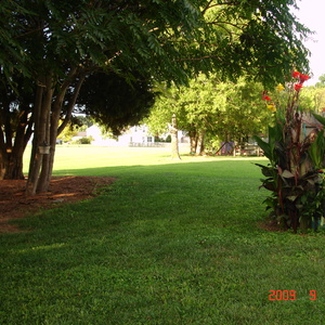 DSC05610.jpg
